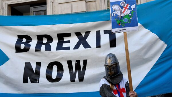 A pro-Brexit supporter holds a placard outside Cabinet Office in London, Britain August 29, 2019 - Sputnik International
