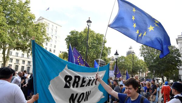 Pro-Brexit and anti-Brexit campaigners protest outside the Cabinet Office in London, Britain August 29, 2019 - Sputnik International