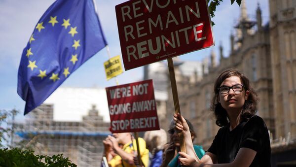 An anti-Brexit protestor holds a sign outside the Houses of the Parliament in London, Britain August 28, 2019 - Sputnik International