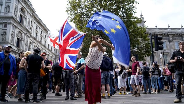 An anti-Brexit demonstrator whirls an EU and Union Flag during a demonstration against the British government's move to suspend parliament in the final weeks before Brexit outside Downing Street in London on August 31, 2019. - Sputnik International
