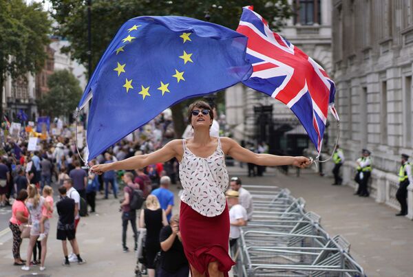 European Parliament's Brexit Chief Says Another Extension 'Unacceptable', Slams 'Helpless Status Quo' - Sputnik International