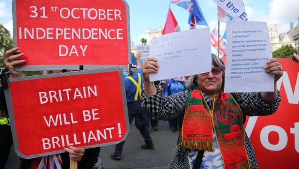 A pro-Brexit activist holds a placard as she protests outside the Houses of Parliament in central London on September 3, 2019. - Sputnik International