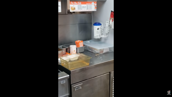 Whataburger customers shocked as mouse jumps into deep fryer while customer attempts to capture and relocate it outside of the Texas-based restaurant. - Sputnik International