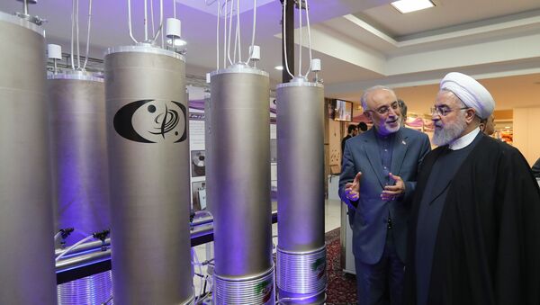 In this file handout photo taken on April 09, 2019 by the Iranian presidential office, Iranian President Hassan Rouhani (2nd L) listens to the head of Iran's nuclear technology organisation Ali Akbar Salehi (R) during the nuclear technology day in Tehran. - Sputnik International
