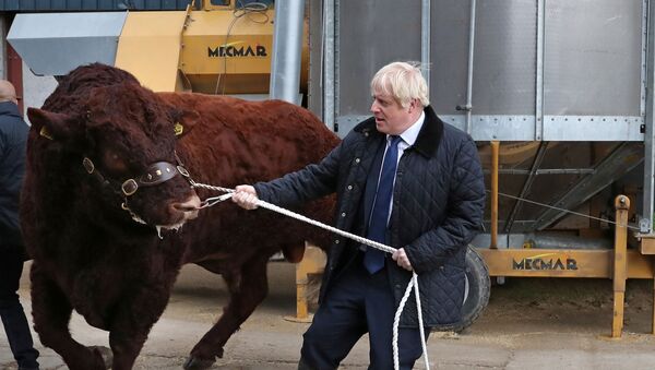 Britain's Prime Minister Boris Johnson visits Darnford Farm in Darnford, Banchory near Aberdeen, Scotland, Britain September 6, 2019. - Sputnik International