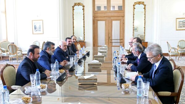 The acting head of the U.N. nuclear watchdog (IAEA), Cornel Feruta, meets with Iran's Foreign Minister Mohammad Javad Zarif in Tehran, Iran September 8, 2019.  - Sputnik International