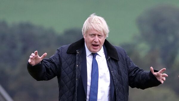Britain's Prime Minister Boris Johnson gestures as he is shown around Darnford Farm in Banchory near Aberdeen in Scotland on September 6, 2019 - Sputnik International