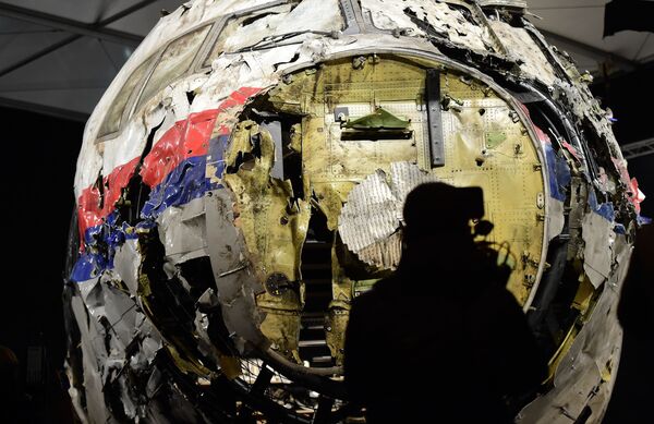 Russian Embassy in Netherlands Says Not Contacted Regarding Alleged MH17 Witness Tsemakh Russian Embassy in Netherlands Says Not Contacted Regarding Alleged MH17 Witness Tsemakh - Sputnik International