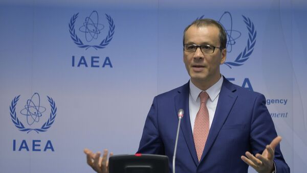 Cornel Feruta, acting Director General of the International Atomic Energy Agency (IAEA), speaks during  a press conference after the IAEA Board of Governors meeting at the agency's headquarters in Vienna, Austria on September 9, 2019. - Sputnik International