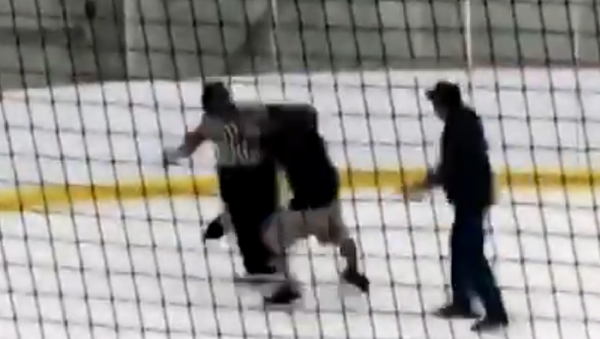  Canadian Man Charged After Engaging in Brawl at Youth Hockey Game - Sputnik International