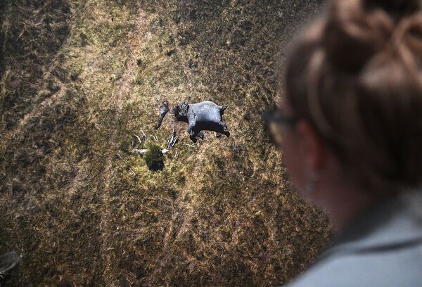 Photojournalist From Italy Wins 2019 Andrei Stenin Contest Grand Prix - Sputnik International