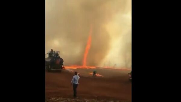 Fire tornados are one of the rarest natural phenomena in the world; dubbed 'fire devils' they only form under very specific atmospheric conditions.  - Sputnik International