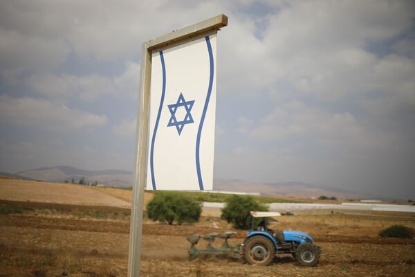 BDS Can be Stopped if Israel Joins Forces With Other States - Ex-Envoy to US BDS Can be Stopped if Israel Joins Forces With Other States - Ex-Envoy to US - Sputnik International