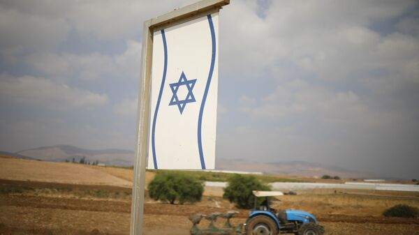A Palestinian man works on a farm near Bardala, in the Israeli-occupied West Bank, Wednesday, Sept. 11, 2019. Israeli Prime Minister Benjamin Netanyahu’s election eve vow to annex the Jordan Valley if he is re-elected has sparked an angry Arab rebuke and injected the Palestinians into a campaign that had almost entirely ignored them. (AP Photo/Ariel Schalit) - Sputnik International