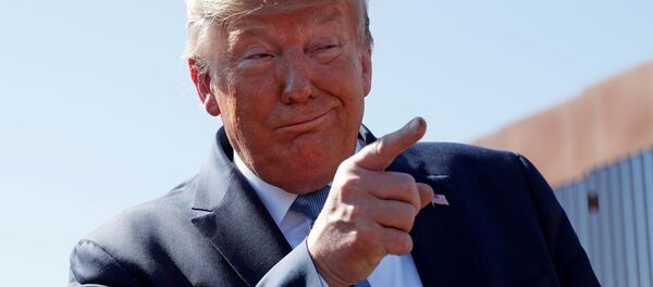Президент США Дональд Трамп во время осмотра строящейся пограничной стены США-Мексика в приграничном городе Отай-Меса, Калифорния, США Президент США Дональд Трамп во время осмотра строящейся пограничной стены США-Мексика в приграничном городе Отай-Меса, Калифорния, США - Sputnik International