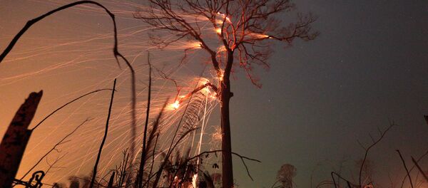 Горящие джунгли Амазонии Горящие джунгли Амазонии - Sputnik International