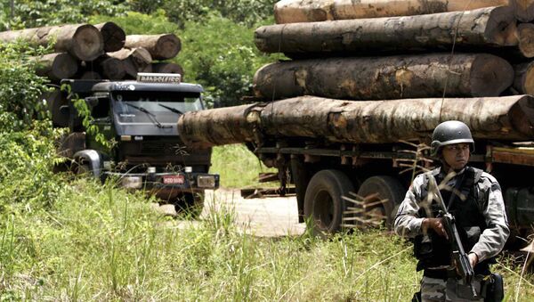 A soldier stands guard in front of a truck loaded with logs that were illegally cut from the Amazon rain forest in Tailandia,in the northern Brazilian state of Para, Monday, Feb. 25, 2008 - Sputnik International