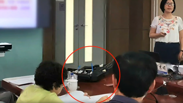 Professor Xie Xiujuan discusses the portable sonic rifle (circled) with the government science panel sent to evaluate it - Sputnik International