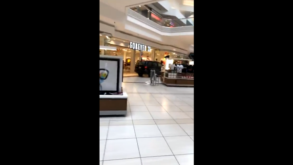 Black SUV is seen in cellphone footage smashing thru Illinois mall - Sputnik International