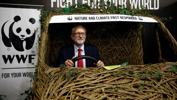 Britain's Labour party leader Jeremy Corbyn visits the WWF stand at the conference centre of the Labour party annual conference in Brighton, Britain September 23, 2019 - Sputnik International