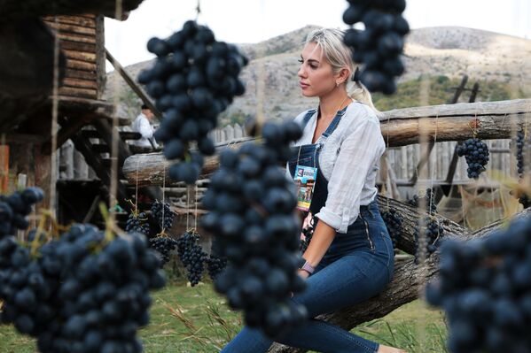 A girl poses for pictures in the vineyard during the Grape Festival in the Park of the Vikings outside Simferopol, Crimea.  - Sputnik International