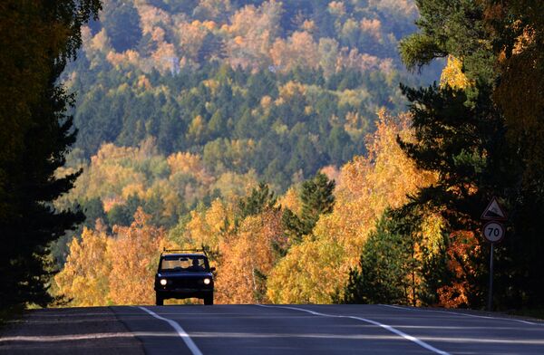 A car on the R257 federal road in Krasnoyarsk region. - Sputnik International