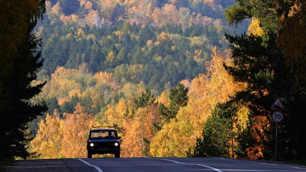 A car on the R257 federal road in Krasnoyarsk region. - Sputnik International