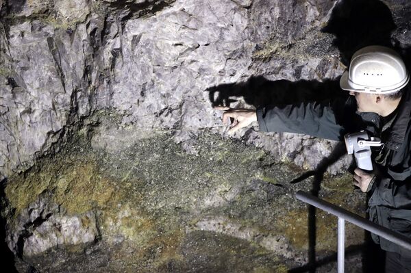 ‘Electric Cars Are Going to Be Huge’ But Will Labour’s Battery Factories Kickstart a Sales Boom? - Sputnik International