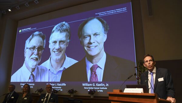 Thomas Perlmann (R), the Secretary of the Nobel Committee, speaks as the winners are announced of the 2019 Nobel Prize in Physiology or Medicine during a press conference at the Karolinska Institute in Stockholm, Sweden, on October 7, 2019. - William Kaelin and Gregg Semenza of the US and Peter Ratcliffe of Britain win the 2019 Nobel Medicine Prize. - Sputnik International
