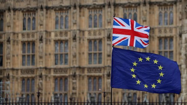 In this file photo taken on 23 January 2019, an anti-Brexit activist waves a Union Jack and a European Union flag during a demonstration outside the Houses of Parliament in central London - Sputnik International