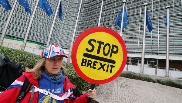 A woman holds a sign as she attends a protest against Brexit outside the EU Commission headquarters in Brussels, Belgium October 9, 2019. - Sputnik International