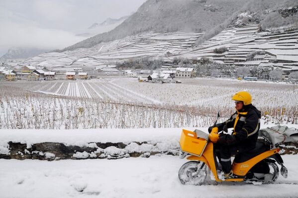 A postman steers his motorcycle through fresh snow in Aigle, Canton of Vaud, western Switzerland, on Monday, Nov. 24, 2008. - Sputnik International