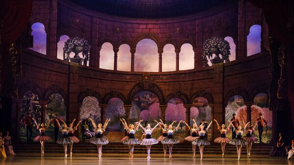 Mariinsky Ballet Chief Dreams of Staging American Ballet With Russian Dancers in Washington Mariinsky Ballet Chief Dreams of Staging American Ballet With Russian Dancers in Washington - Sputnik International