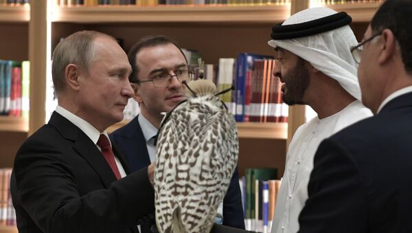 Russian President Vladimir Putin presents gyrfalcon to Abu Dhabi Crown Prince, 15 October 2019.  - Sputnik International