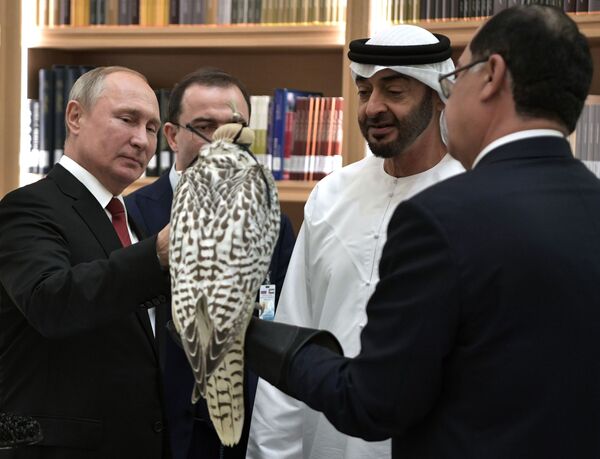 Putin Gifts Gyrfalcon to Abu Dhabi Crown Prince - Photo - Sputnik International