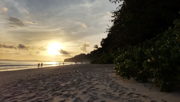 This photograph taken on September 23, 2018 shows sunset on Havelock Island, a tourist haven in the Andaman Islands, a remote Indian archipelago in the Bay of Bengal - Sputnik International