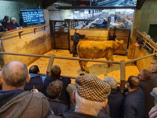 Brexit: ‘Boris Johnson Has Shafted the DUP’ and May Have Paved the Way for a United Ireland Brexit: ‘Boris Johnson Has Shafted the DUP’ and May Have Paved the Way for a United Ireland - Sputnik International