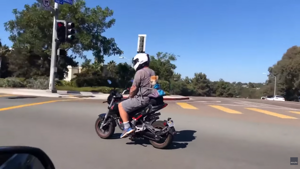 Adorable Pup Hitches Ride on Motorcycle - Sputnik International