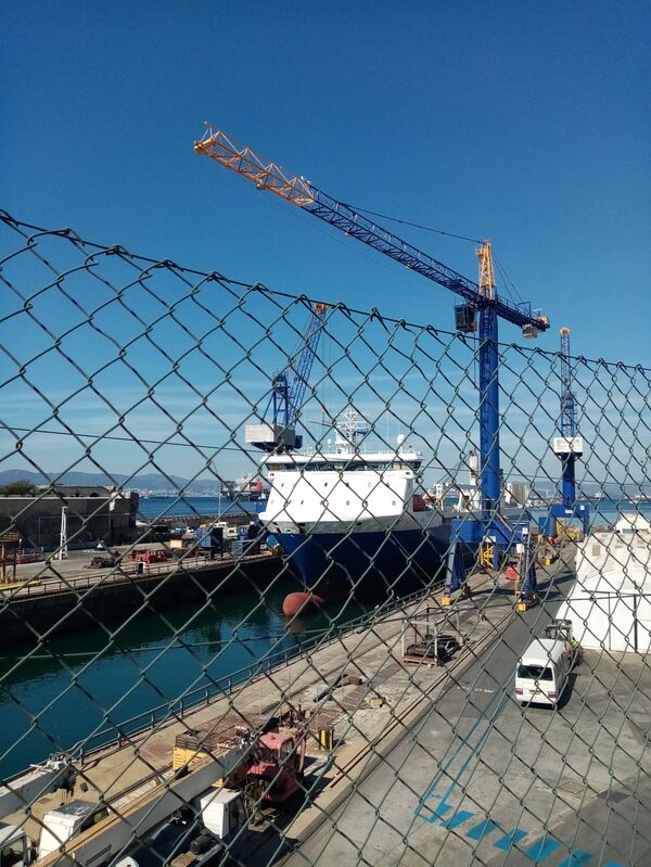 Self Determination for Gibraltar Group Chairman: Perhaps Time Has Come for Second Brexit Referendum Self Determination for Gibraltar Group Chairman: Perhaps Time Has Come for Second Brexit Referendum - Sputnik International