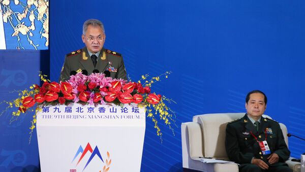 Russian Defense Minister Sergey Shoygu speaks at the plenary session of the Xianshan Forum - Sputnik International