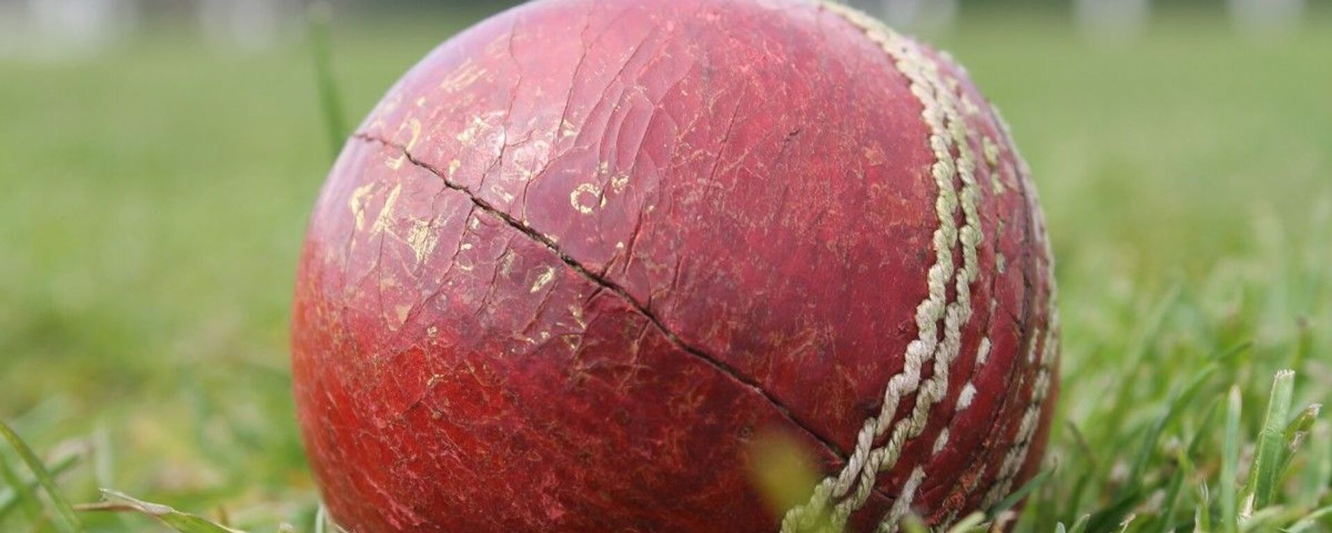 Cricket ball - Sputnik International, 1920, 06.05.2021