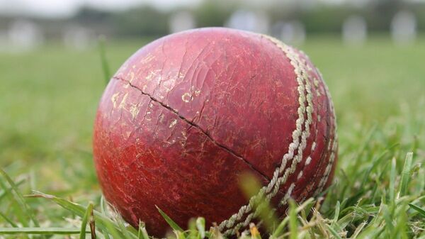 Cricket ball - Sputnik International