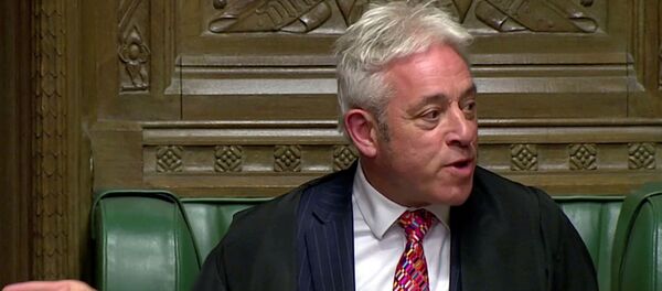 Speaker of the House of Commons John Bercow gestures at the parliament Speaker of the House of Commons John Bercow gestures at the parliament - Sputnik International