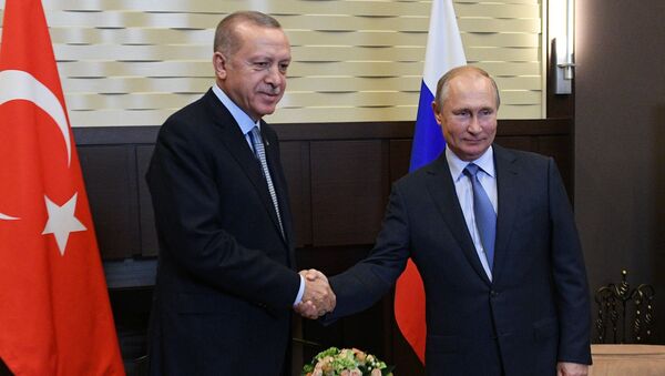 Russian President V. Putin Meets with Turkish President R. T. Erdogan - Sputnik International