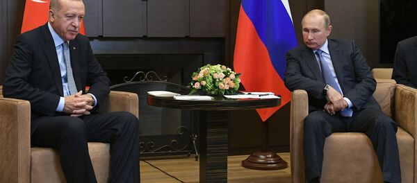  Russian President V. Putin Meets with Turkish President R. T. Erdogan - Sputnik International