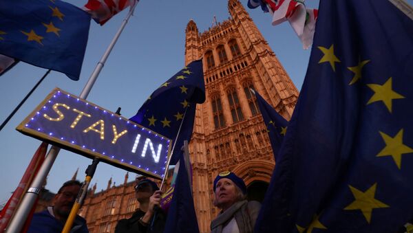 Anti-Brexit protesters hold signs and European Union flags outside the Houses of Parliament in London, Britain, October 22, 2019. - Sputnik International