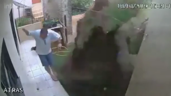Brazilian Man Blows Up Backyard in Attempt to Kill Cockroach Nest - Sputnik International