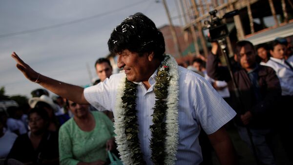 Bolivia's President and presidential candidate Evo Morales of the Movement Toward Socialism (MAS) party is greeted by supporters as he arrives to vote during the presidential election at a polling station in a school in Villa 14 de Septiembre, in the Chapare region, Bolivia, October 20, 2019. - Sputnik International