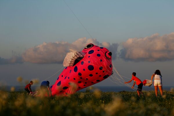 Children help to land a kite during the International Kite and Wind festival outside the village of Gharb, on the island of Gozo, Malta October 20, 2019.  - Sputnik International