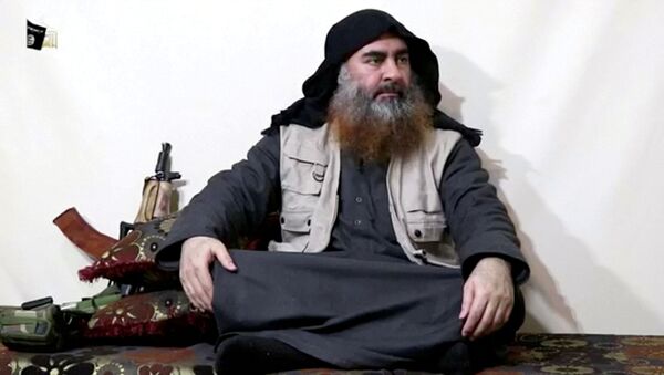 A bearded man with Islamic State leader Abu Bakr al-Baghdadi's appearance speaks in this screen grab taken from video released on April 29, 2019. Islamic State Group/Al Furqan Media Network/ - Sputnik International